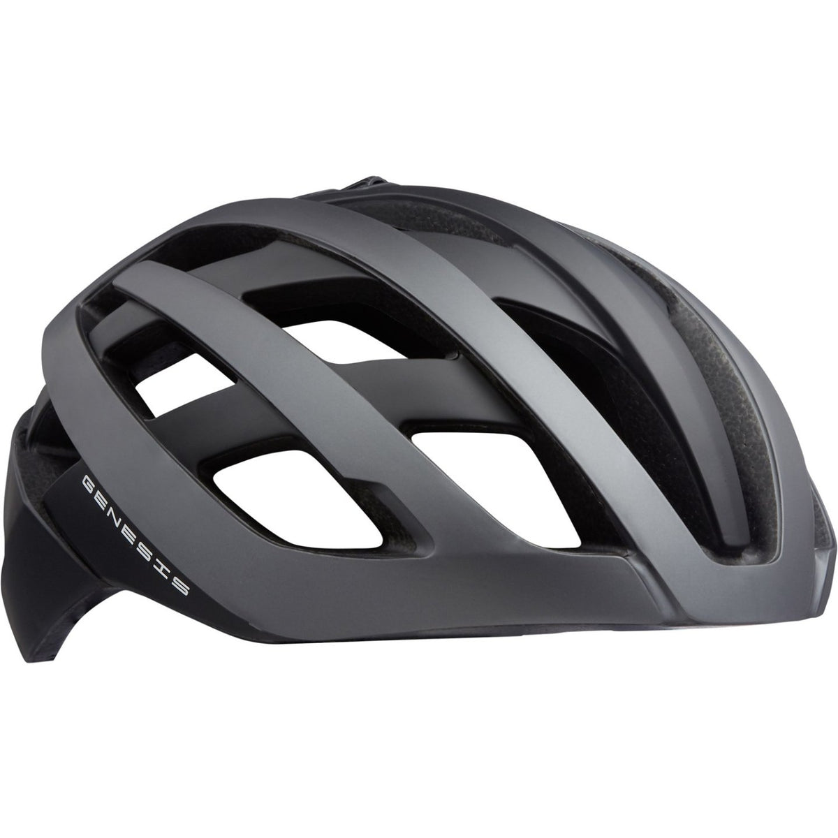 Helmet Lazer Genesis Matte Titanium L