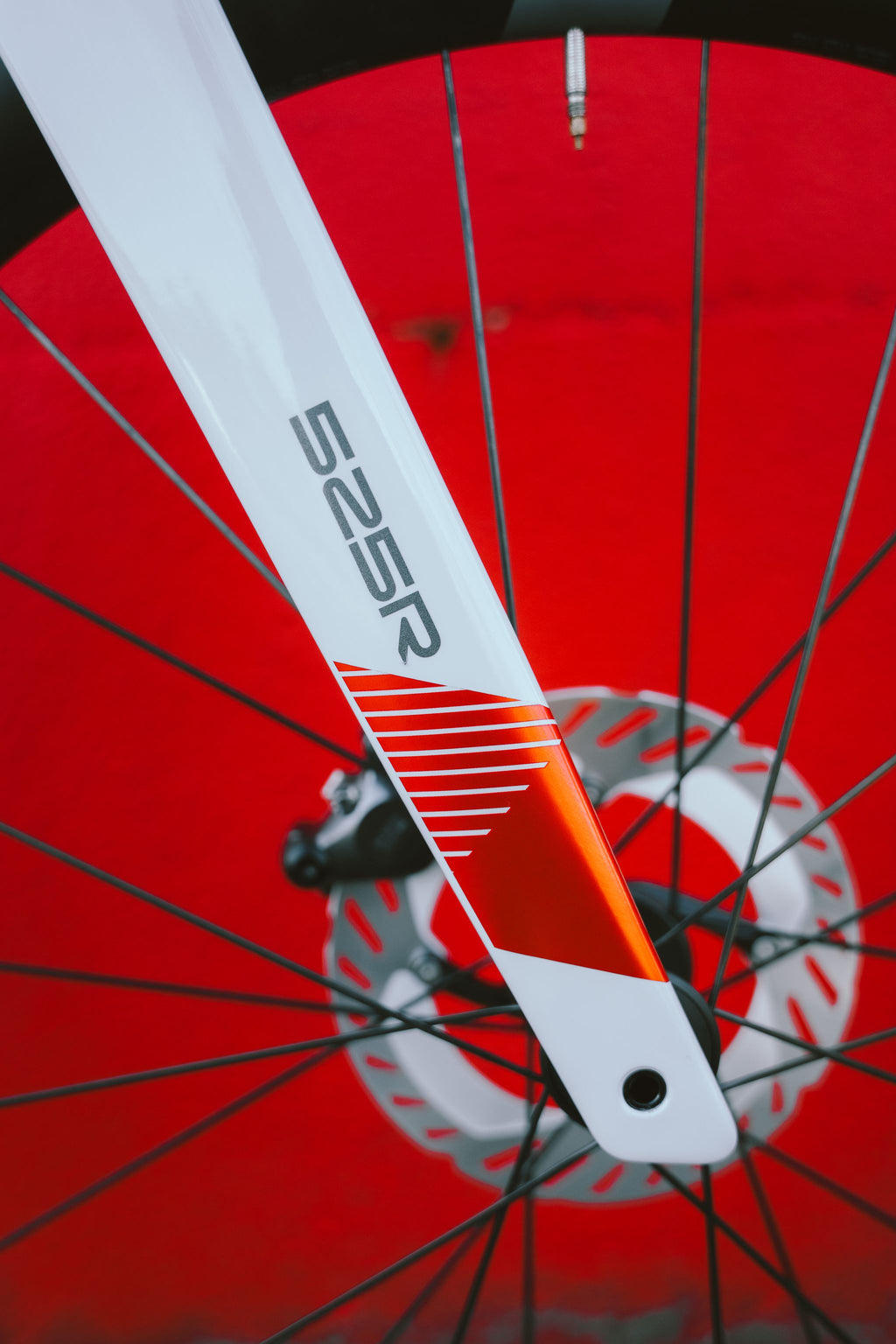 Ratas Eddy Merckx 525R Ultegra DI2 2x12 (L)