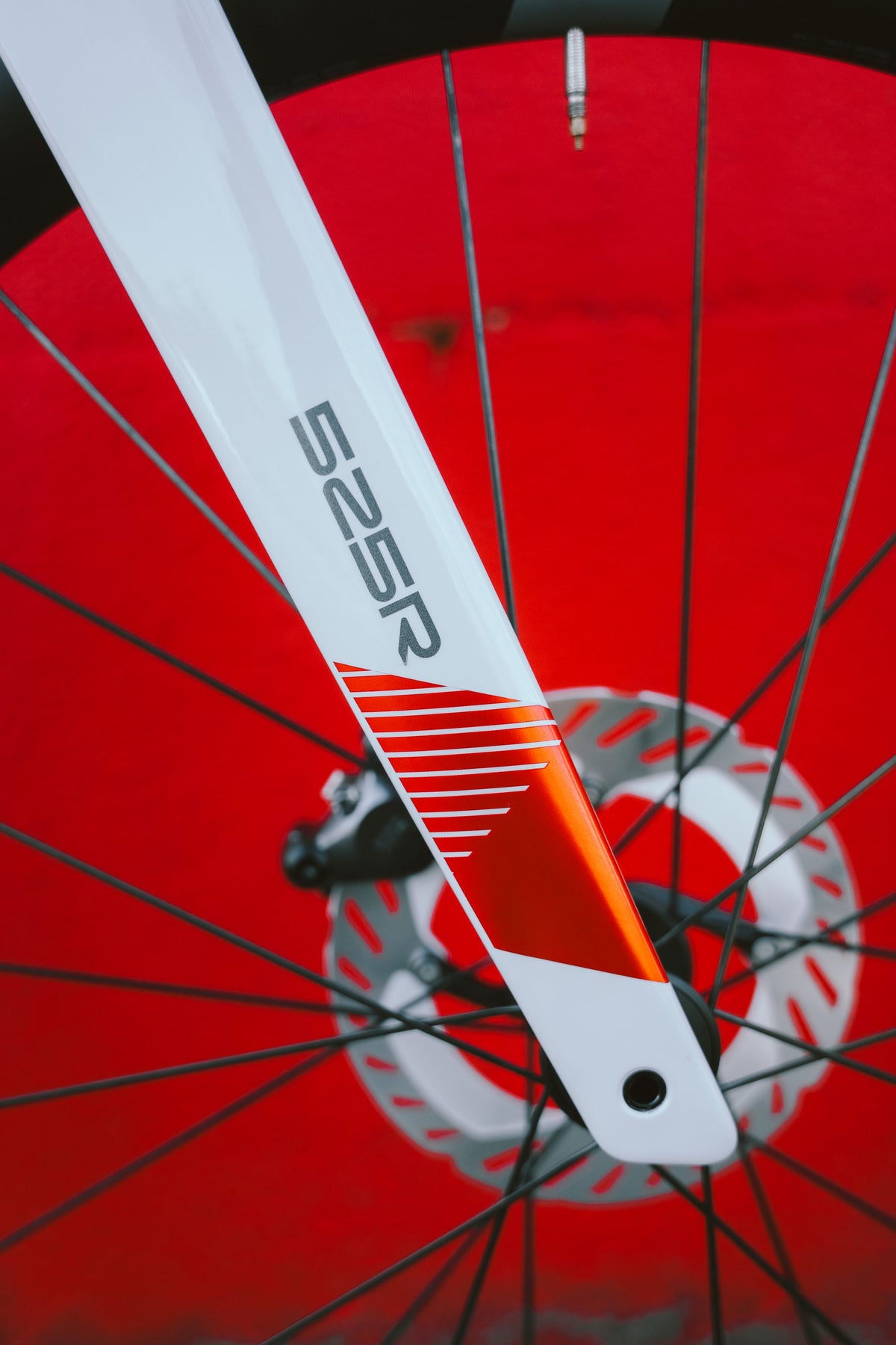 Ratas Eddy Merckx 525R Ultegra DI2 2x12 (L)