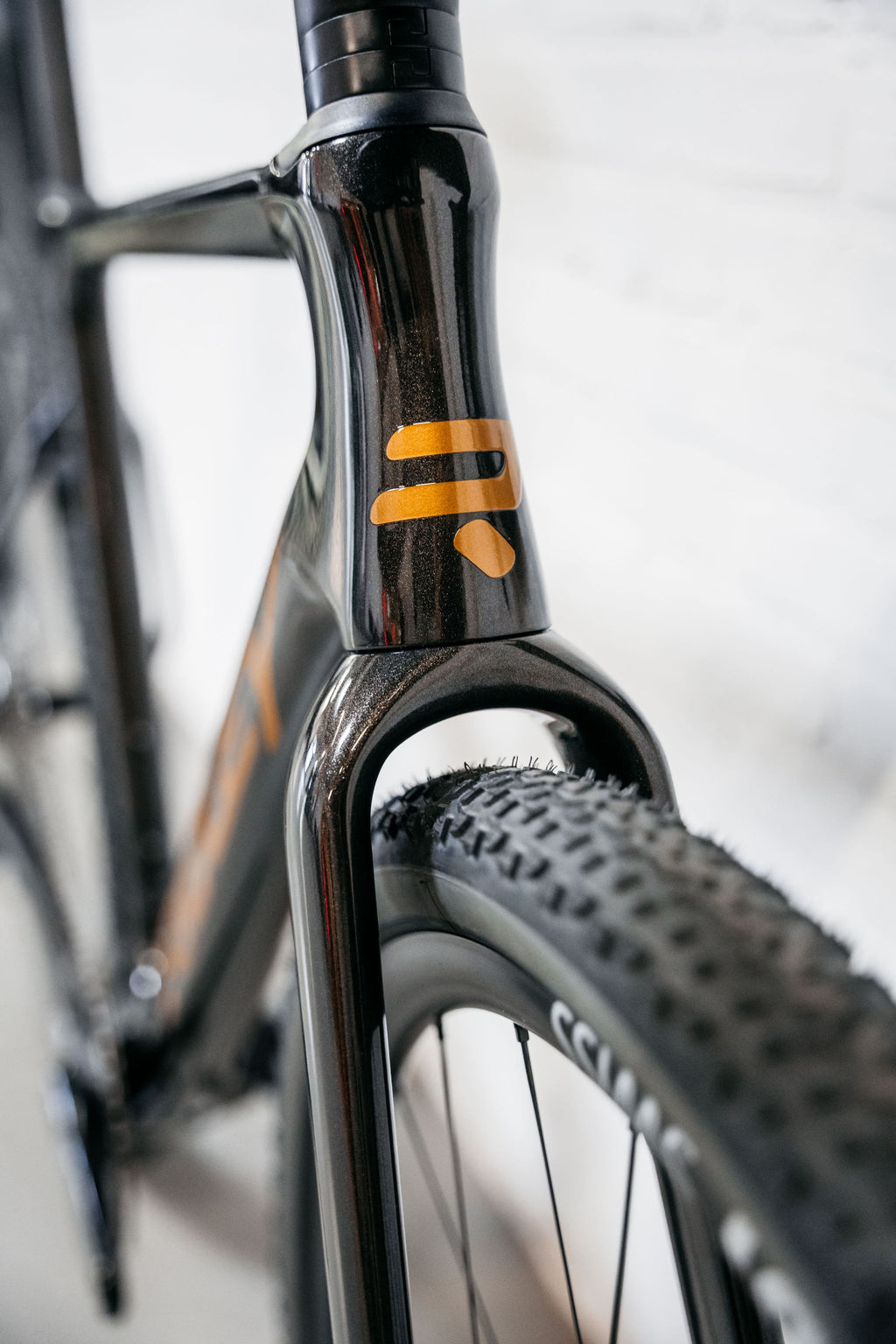 Ratas Ridley ASTR GRX800 DI2 2x12 (L) must/kuldne — pilt 6