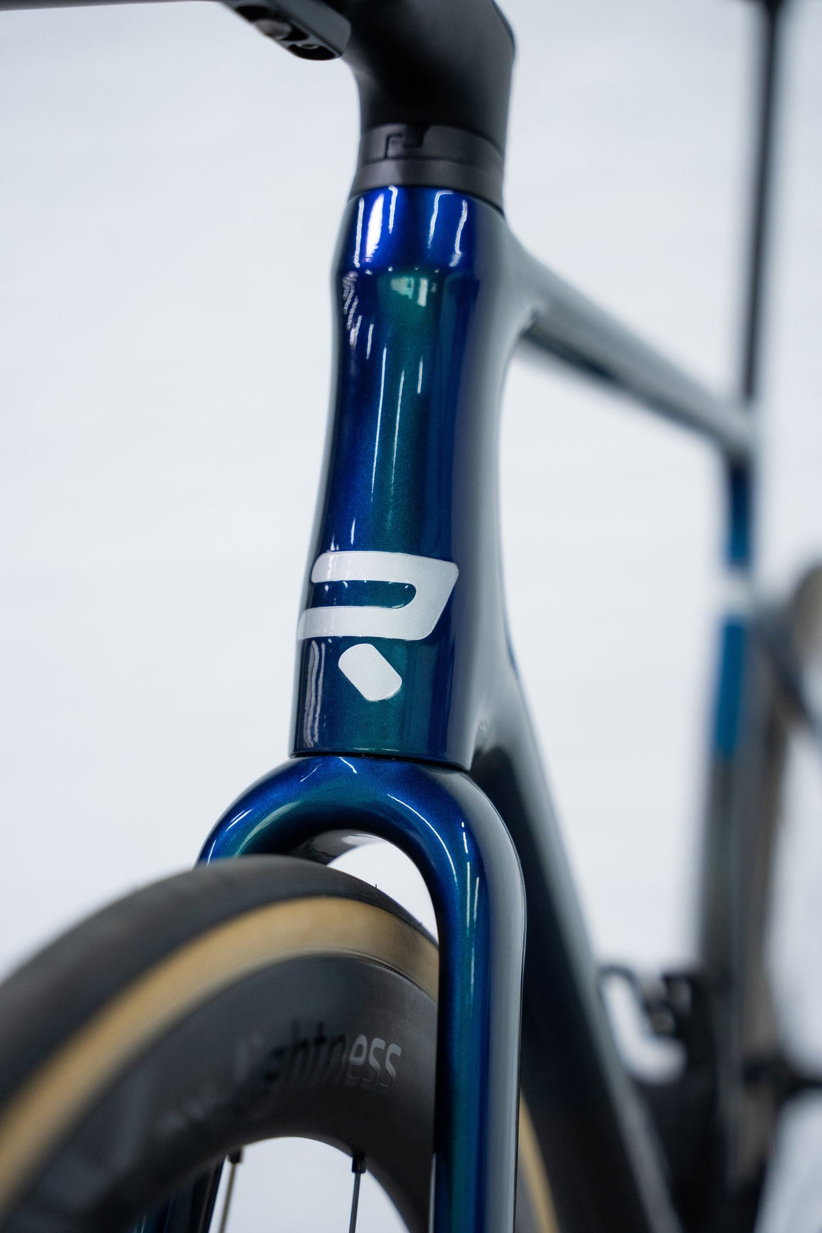 Ratas Ridley Falcn RS 2.0 Red AXS 2x12 (M), ud carbon/peacock roheline