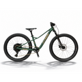 Laste Maastikuratas 24" Bemoov TS24 | Matte Forest Green — pilt 1