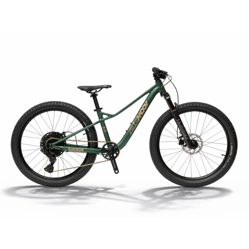 Laste Maastikuratas 24" Bemoov TS24 | Matte Forest Green — pilt 1